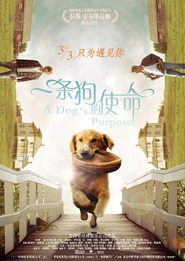 小妈妈的秘密